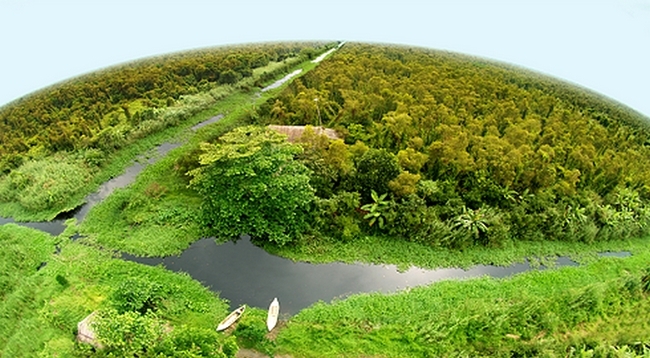 Посещаем самые большие первобытные мангровые заросли Вьетнама