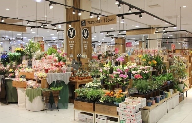 Вьетнамские цветы закрепляются на японском рынке