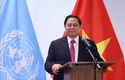 Премьер-министр Фам Минь Чинь провел рабочую встречу с Постоянной миссией Вьетнама при ООН