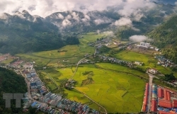 Сезон спелого риса в Мыонгкхыонг – золотая шелковая полоса на границе страны