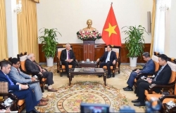 Министр иностранных дел Буй Тхань Шон принял Первого заместителя министра иностранных дел Кубы