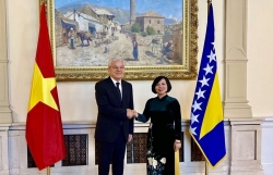 Посол Нгуен Тхи Бить Тхао вручила верительные грамоты председателю Президиума Боснии и Герцеговины