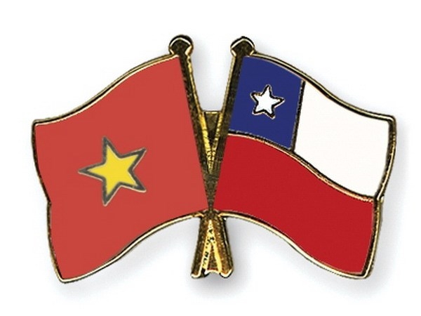 Вьетнам является крупнейшим торговым партнером Чили в Юго-Восточной Азии