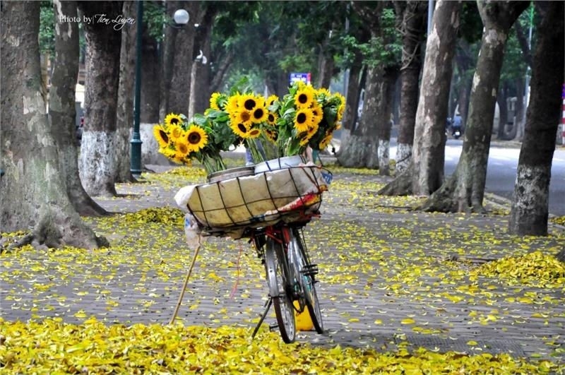 Сентябрь – время, когда в Ханое лето уступает осени