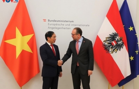 Сделать вьетнамско-австрийские отношения более действенными и эффективными
