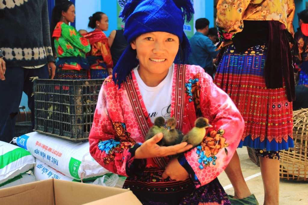 World Vision Vietnam предоставляет жителям уезда Туачуа провинции Диенбиен средства к существованию