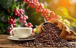 Экспорт кофе и перца из Вьетнама впечатляюще растет в 2022 году