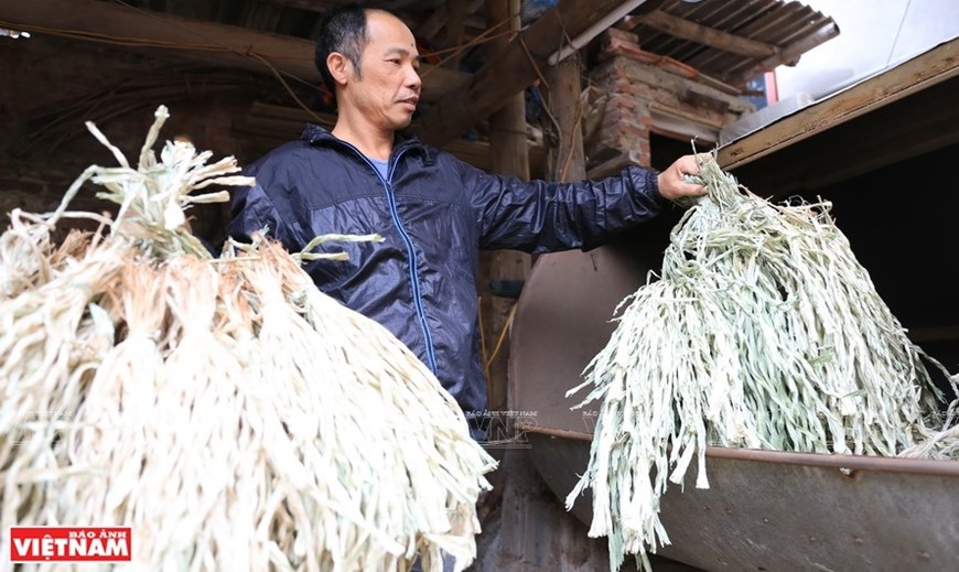 Сотнелетнее ремесло по изготовлению конических шляп в деревне Виньтхинь