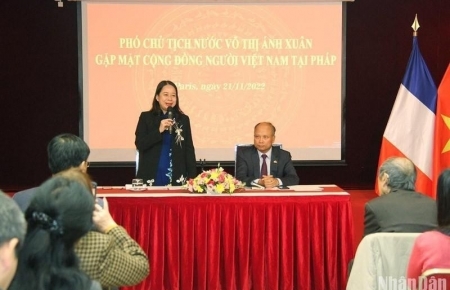 Вице-президент Во Тхи Ань Суан встретилась с представителями вьетнамской диаспоры во Франции