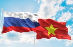 Товарооборот между Вьетнамом и Россией увеличился на 12,07%