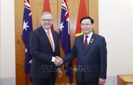 Председатель НC Выонг Динь Хюэ встретился с премьер-министром Австралии Альбанезе